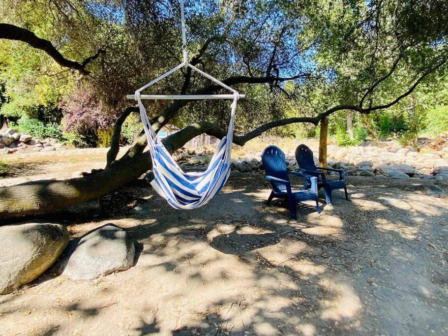 Sequoia Cabin By The River Three Rivers Exterior foto
